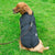 Dog Clothes Chest Back Integrated Cotton Vest Pet Cotton Clothes Winter Clothes