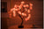 Rose Flower Lamp USB Battery Operated LED Table Lamp Bonsai Tree Night Lights Garland Bedroom Decoration Lights Home Decor