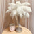 Remote Control Feather Table Lamp USB Battery Power