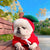 Cute Fruit Dog Clothes For Small Dogs Hoodies Winter Warm Fleece Pet Clothing Puppy Cat Costume Coat For French Chihuahua Outfit