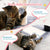 Small 4-in-1 Cat Tree Tower With Self-grooming Brush And Natural Sisal Scratching Post, Soft Plush Cat Bed And Hanging Ball, Suitable For Indoor Kittens