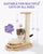 Indoor Cat Soft Scratching Board And Interactive Ball Track Toy Cat Rest And Grooming Supplies