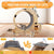 Cat Wheel 6-in-1 Cat Sports Wheel, Upgraded Indoor Cat Wheel Sports Device