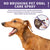 Yegebang Cat And Dog Teeth Cleaning Spray Pet Oral Cleaning Deodorizing Fresh Breath
