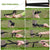 Camping Hammock, Portable Double Hammock With Net