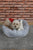 Cookie Pet Sherpa Polar Washable Round Dog Cat Bed, 60 Cm, Gray